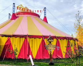 zirkus_springling